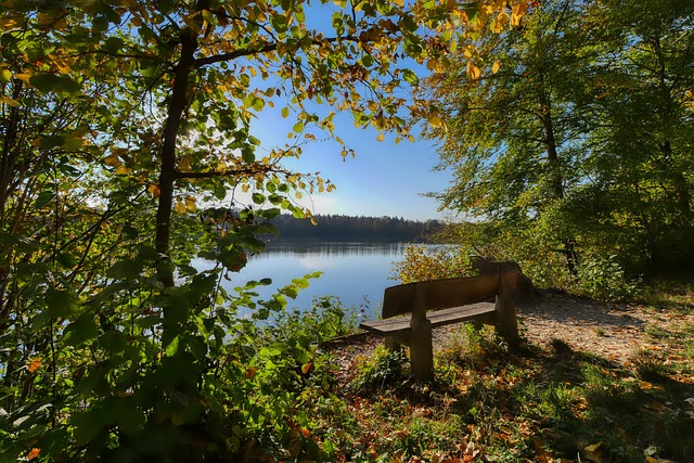 明确的价值 明确的价值