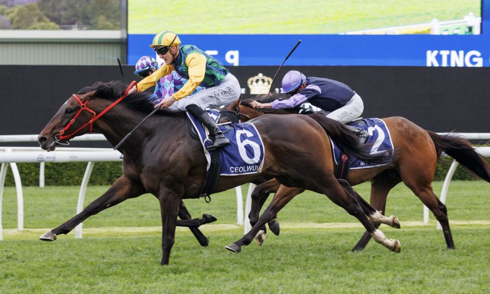 顽强的阻击 顽强的阻击