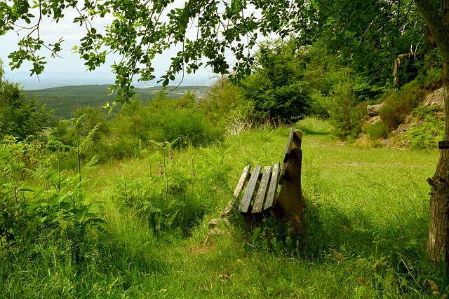 平球星加盟 平球星加盟